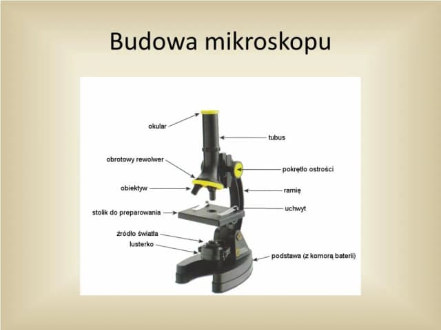 Obiektyw mikroskopu: tajemnice precyzyjnego powiększania świata mikroskali Obiektyw mikroskopu: tajemnice precyzyjnego powiększania świata mikroskali